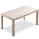 90×150 Rattan Masa ANV009