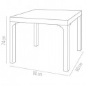 90×90 Camlı Rattan Masa ANV004