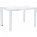 Camlı Rattan Masa ASV006