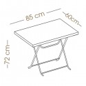 Katlanır Plastik Masa AMT003