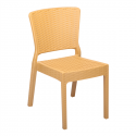 Plastik Rattan Sandalye BSV008