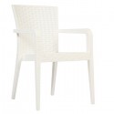 Rattan Koltuk CRB003